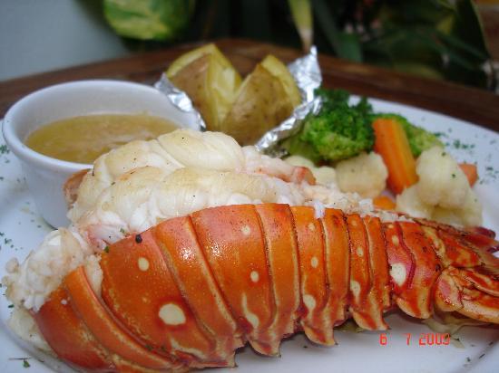 Langosteria Maya Restaurant